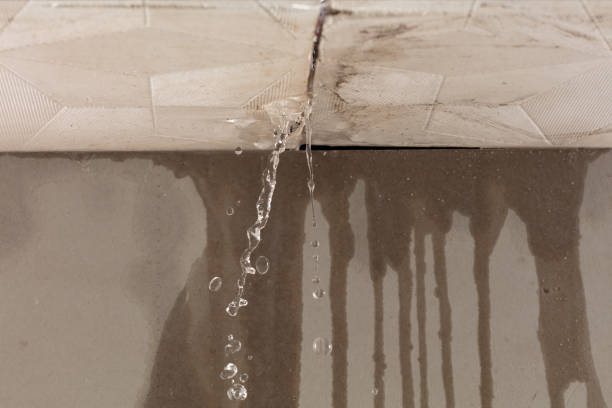 Professional Structural Drying technician working in Chisholm, ME
